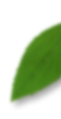 leaf-right